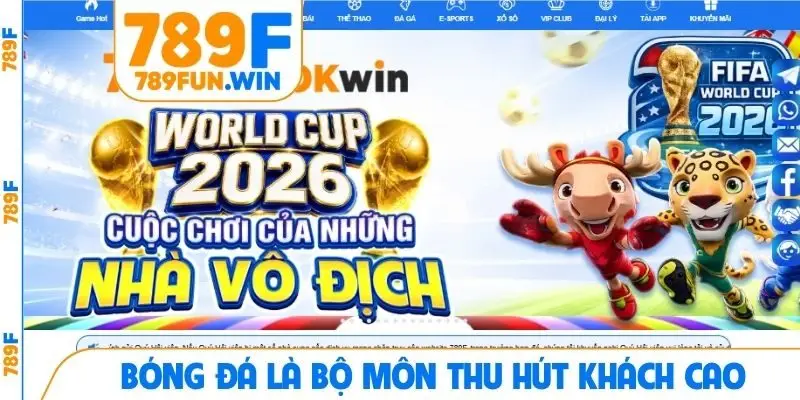 Bóng đá là bộ môn thu hút khách cao