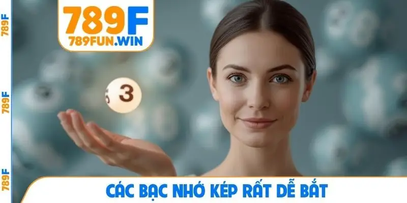 Các bạc nhớ kép rất dễ bắt